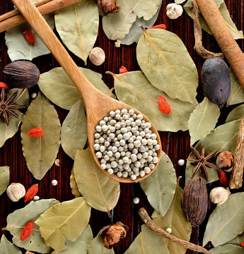Food ingredients - peppercorns herbs and spices.