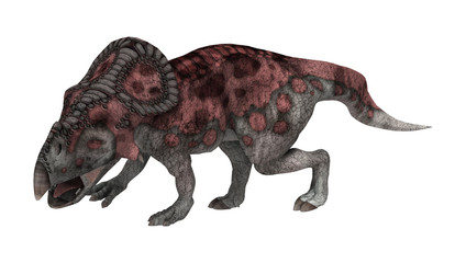 Dinosaur Protoceratops