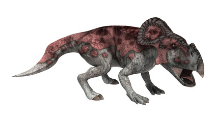 Dinosaur Protoceratops