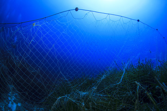 Fishing Net Underwater Images – Browse 9,656 Stock Photos, Vectors, and  Video