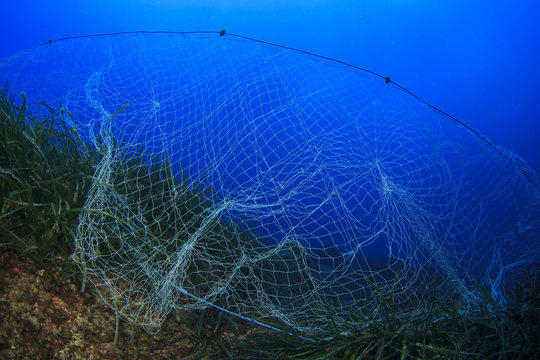 Fishing Net Underwater Images – Browse 9,656 Stock Photos, Vectors