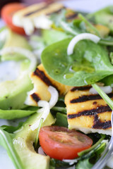 Summer salad with grilled halloumi