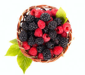 Blackberry and raspberry