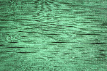 Wooden texture of green color