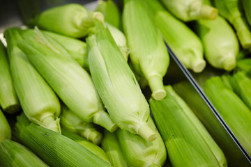 Corn