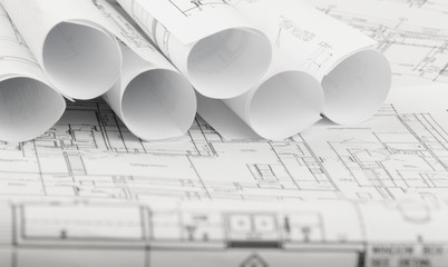 rolls of architecture blueprints and house plans