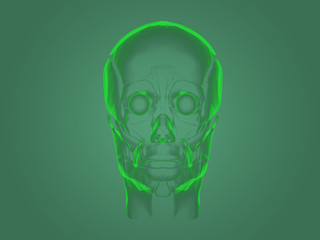 X-ray head anatomy