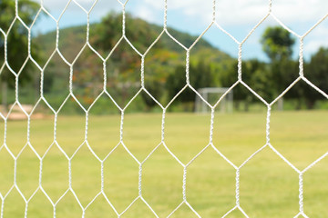 soccer net on green grass