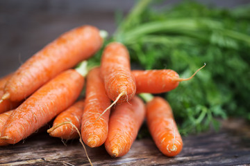 Carrot on wooden background
