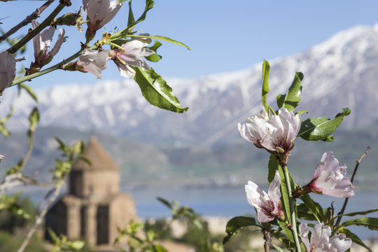 
Church of the Holy Cross is a ruined Armenian cathedral in Eastern Anatolia, Turkey