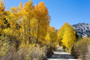 Herbststimmung an der North Lake Road