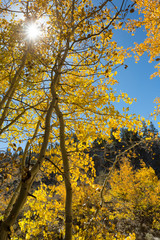 Herbststimmung an der North Lake Road