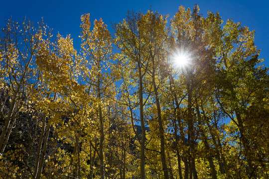 Herbststimmung an der North Lake Road
