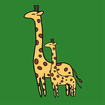 Cute giraffe on green background