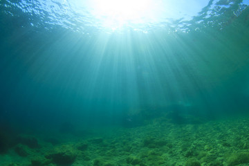 Underwater landscape