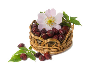 Dried berries and flowers of wild rose isolated on white backgro