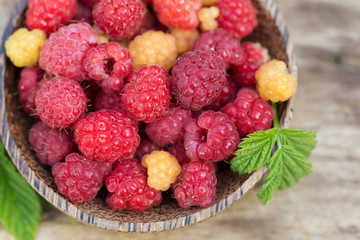 Raspberries in garden