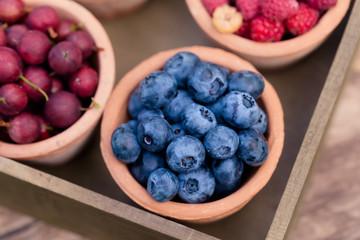 currant, raspberry, gooseberry, blueberry in garden