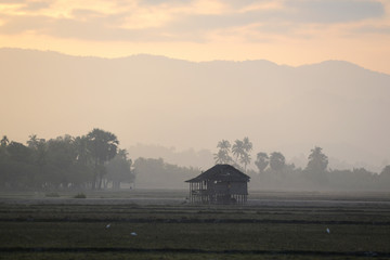 ASIA MYANMAR MYEIK LANDSCAPE