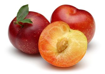 Red Plum