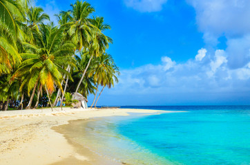 Tropical Island - Détente sur une belle plage aux eaux turquoises claires