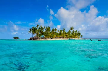 Photo sur Aluminium Plage tropicale Tropical Island - Détente sur une belle plage aux eaux turquoises claires