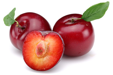 Red Plum