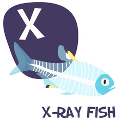 Funny cartoon animals vector alphabet letter set for kids. X is