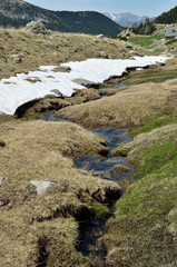 Spring in the Madriu-Perafita-Claror valley