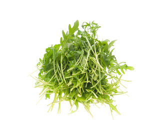 arugula