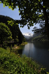 Alpine lake Gosausee, Austria