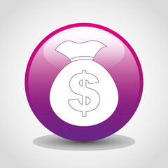 money icon