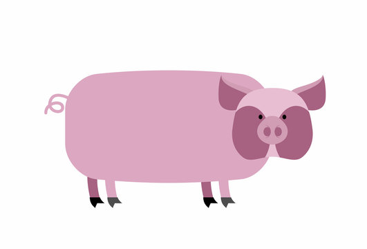 Fat pig on a white background. Farm animal. Vector illustration