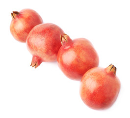 Four pomegranate fruits isolated