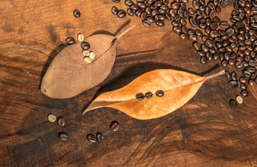 Chicchi di caffé con foglie secche di magnolia su un piano di legno.