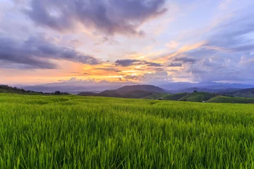 Foto auf Acrylglas Green Terraced Rice Field in Pa Pong Pieng , Mae Chaem, Chiang Mai, Thailand © Southtownboy Studio