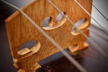 Violin strings and violin body