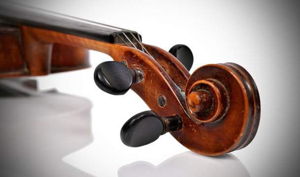 violin head