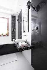 Interior of luxury bathroom
