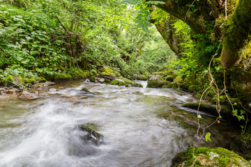 Torrentes de agua en el puerto de Leitariegos, Asturias, Spain