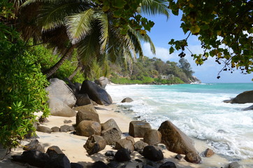 Strand auf den Seychellen