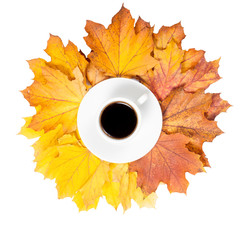 Coffee Autumn background. Isolated on White Cup of coffee on fallen leaves. Top View
