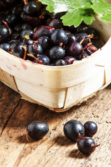 Fresh ripe black currants in a wicker basket, selective focus