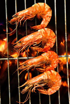 Grilled prawns