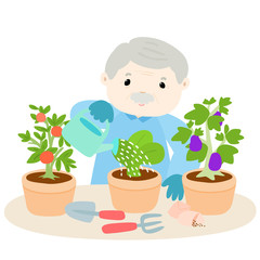 Happy grandfather watering lettuce vector