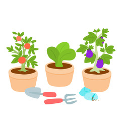 Cute and colorful vegetable pot vector illustration
