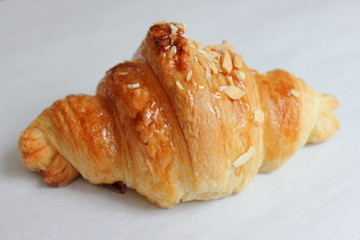 Fresh delicious croissant isolated  white background.