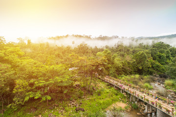 Natural landscape of tropical forest with morning fog in Thailand.