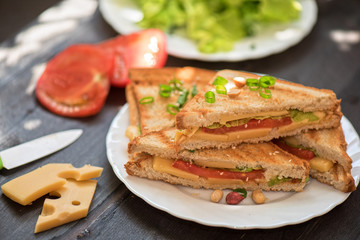 Cheese sandwich