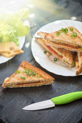 Cheese sandwich